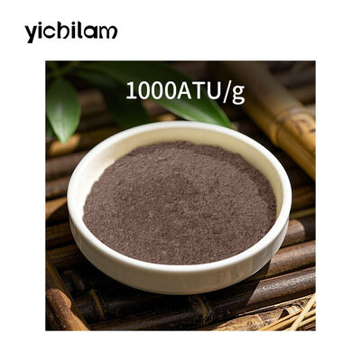 Premium Dried Leech Powder (Hirudo nipponia) – TCM Raw Material, Bulk Wholesale Supplier