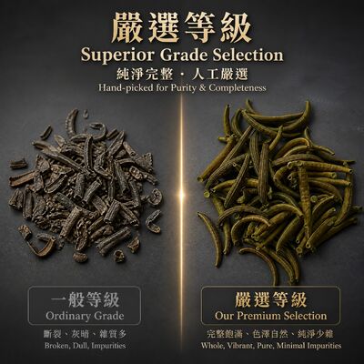 Premium Dried Medicinal Leech Shuizhi - 100% Natural Low-temperature Dried Authentic Hirudo Nipponia for TCM
