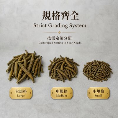 Premium Dried Medicinal Leech Shuizhi - 100% Natural Low-temperature Dried Authentic Hirudo Nipponia for TCM