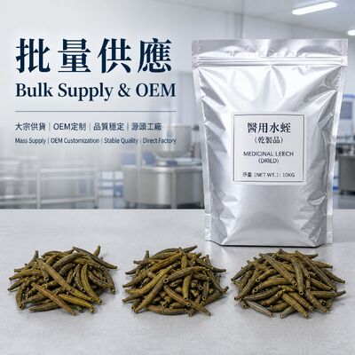 Dried Medicinal Leech Hirudo nipponia Shuizhi 10kg/Bag Vacuum Packaging TCM Raw Material