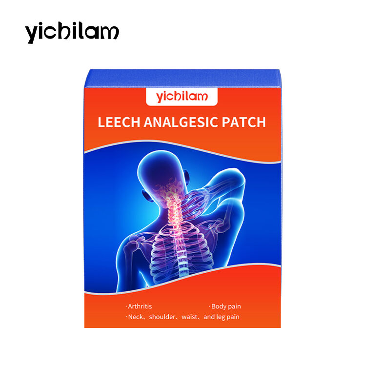 Traditional Chinese Herbal Leech Extract Patch for Back, Waist and Joint Care