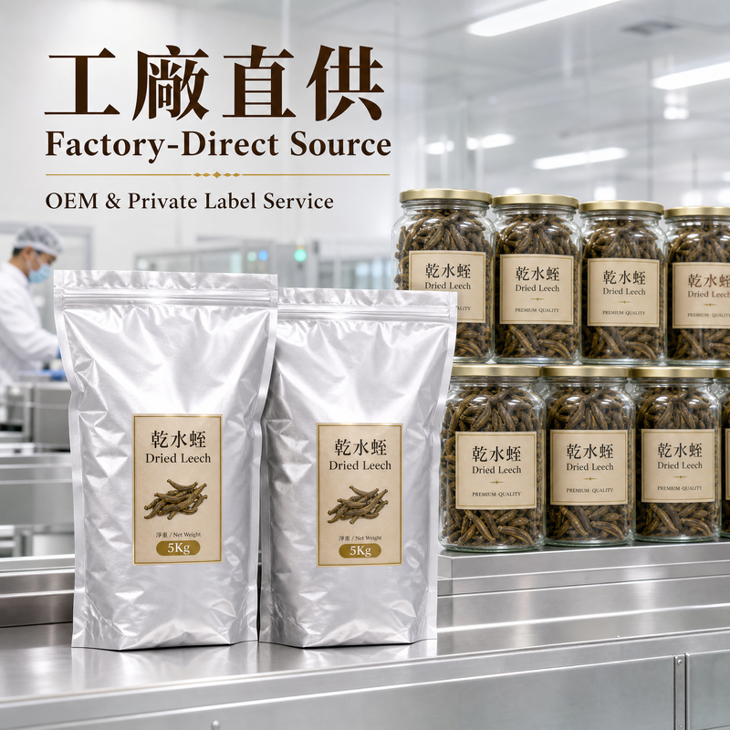 Dried Medicinal Leech Hirudo nipponia 0.5g/Bottle | Shuizhi Chinese Herbal Medicine TCM Raw Material