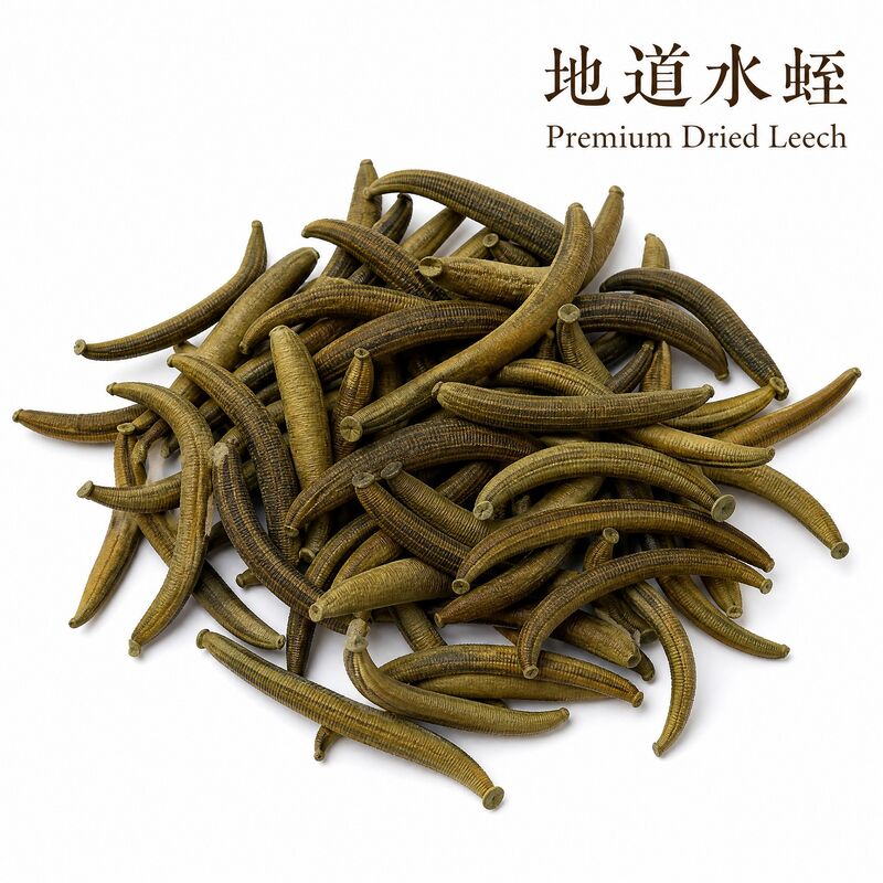 Dried Medicinal Leech Hirudo nipponia Whole Body 0.3g/Bottle Shuizhi TCM Raw Material
