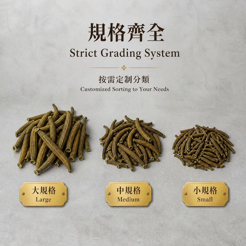 Premium Dried Medicinal Leech Shuizhi - 100% Natural Low-temperature Dried Authentic Hirudo Nipponia for TCM