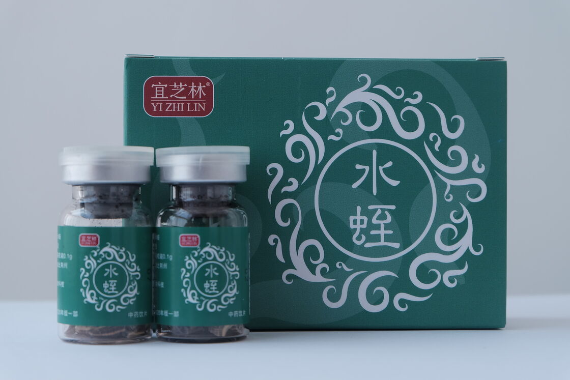 Hirudo nipponia Dried Medicinal Leech Decoction Pieces 0.1g/Bottle | Shuizhi TCM Herbal Medicine
