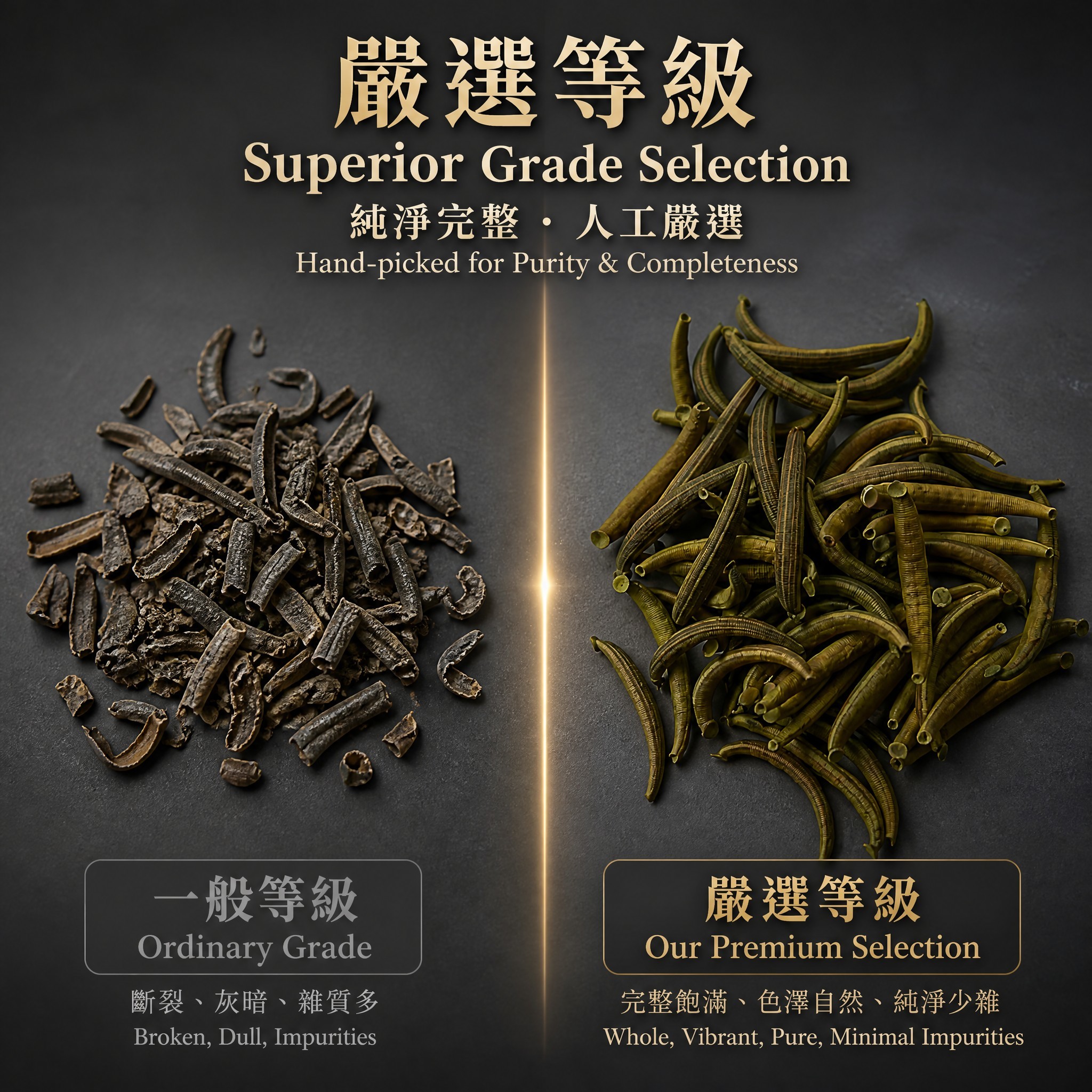 Premium Dried Medicinal Leech Shuizhi - 100% Natural Low-temperature Dried Authentic Hirudo Nipponia for TCM