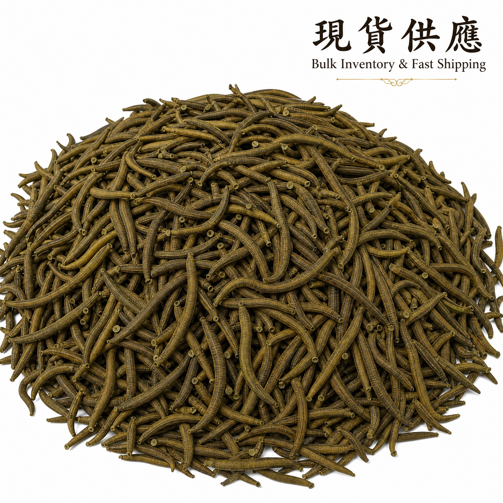 Premium Dried Medicinal Leech Shuizhi - 100% Natural Low-temperature Dried Authentic Hirudo Nipponia for TCM